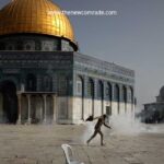 The Four Calamities of the Ummah: Exploring Possibilities